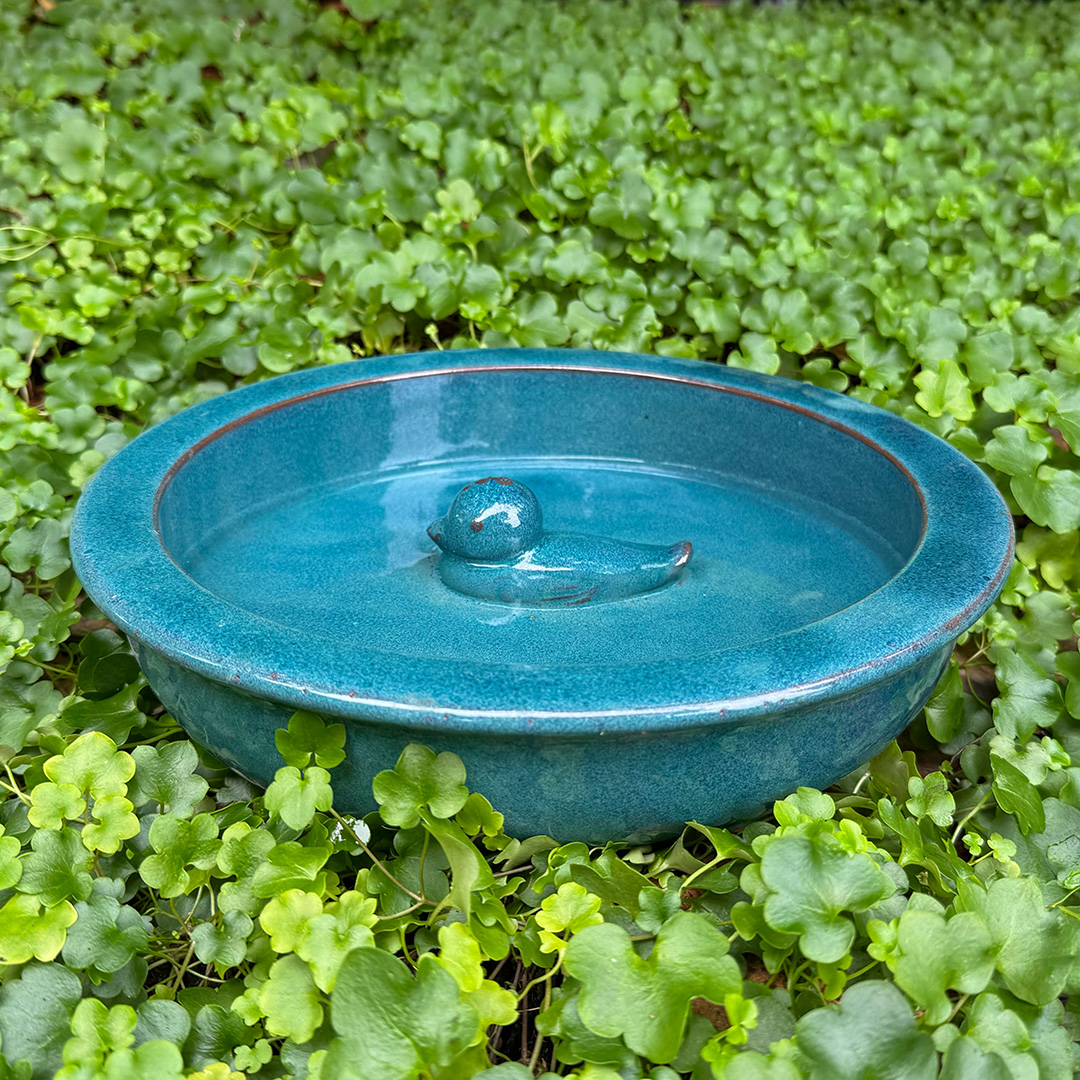 Bird Bath
